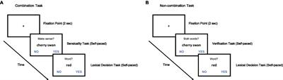 Asymmetric Underlying Mechanisms of Relation-Based and Property-Based Noun–Noun Conceptual Combination